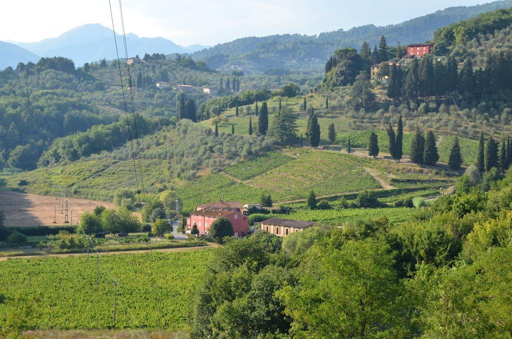 Agriturismo Le Murelle Lucca Exterior photo