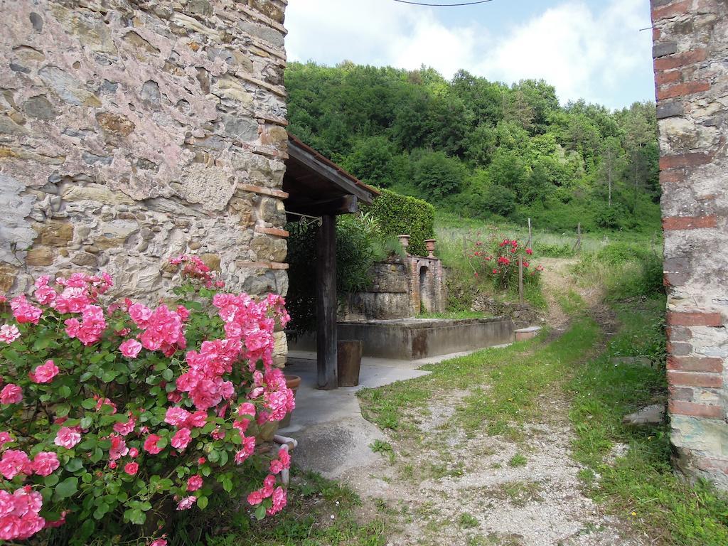 Agriturismo Le Murelle Villa Lucca Exterior photo