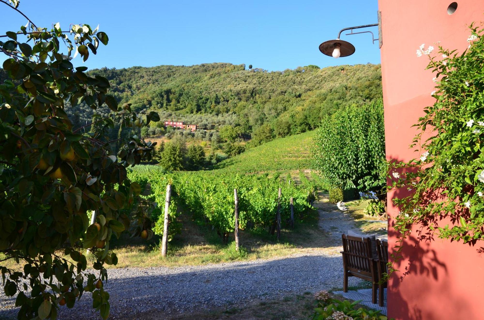 Agriturismo Le Murelle Lucca Exterior photo