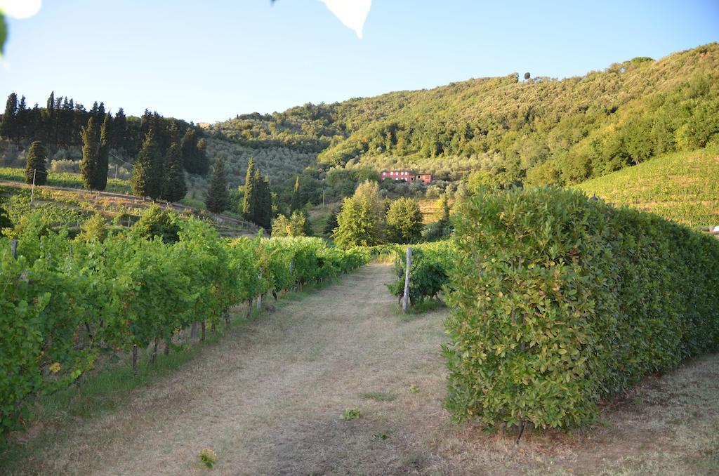 Agriturismo Le Murelle Lucca Exterior photo